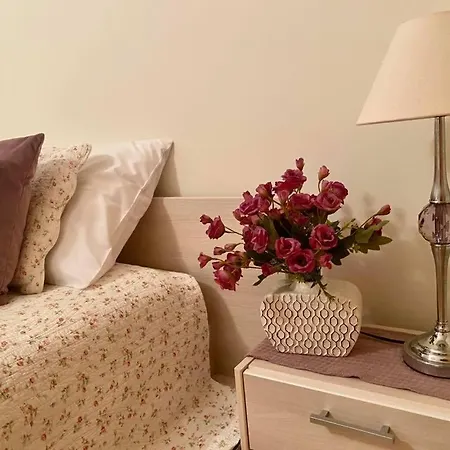 Areal Dourado Guest house Porto Santo